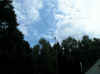 P1010002.JPG (683061 Byte)
