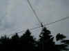 P1010004.JPG (756125 Byte)
